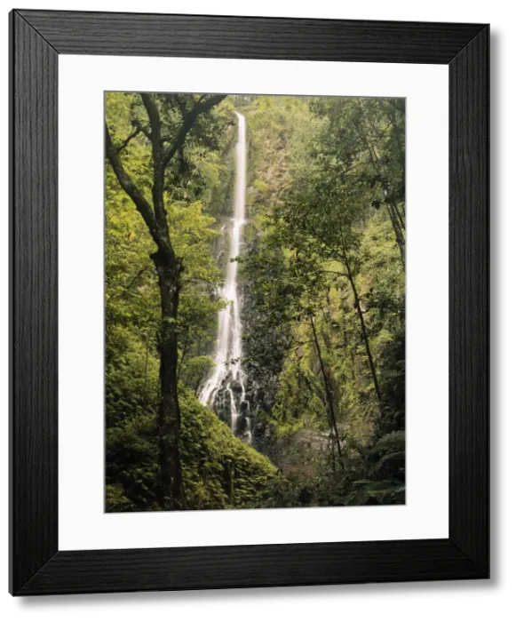 Framed Print : DDE-90038734 Framed Print : DDE-90038734