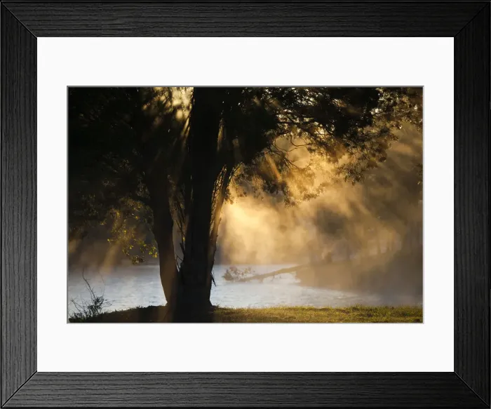 Framed Print : DDE-90038738 Framed Print : DDE-90038738