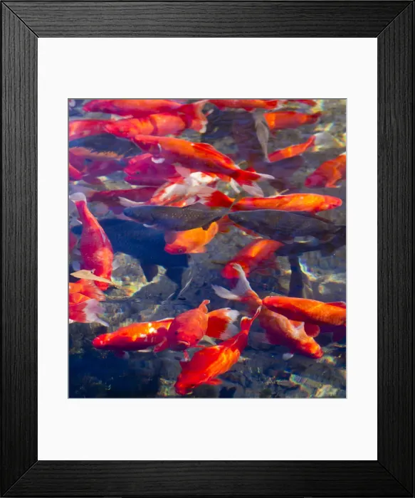 Framed Print : DDE-90038739 Framed Print : DDE-90038739