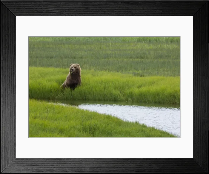 Framed Print : DDE-90038743 Framed Print : DDE-90038743