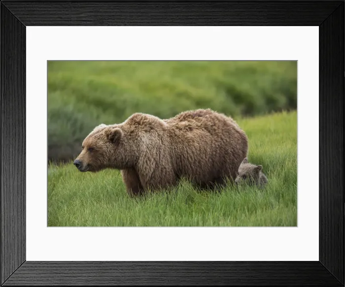Framed Print : DDE-90038748 Framed Print : DDE-90038748