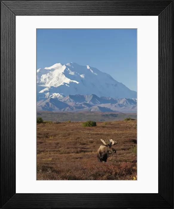 Framed Print : DDE-90038755 Framed Print : DDE-90038755