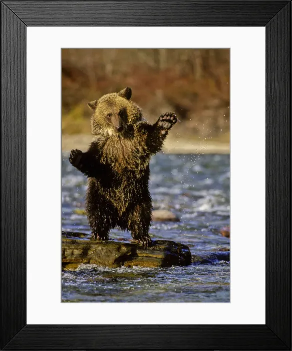 Framed Print : DDE-90038760 Framed Print : DDE-90038760
