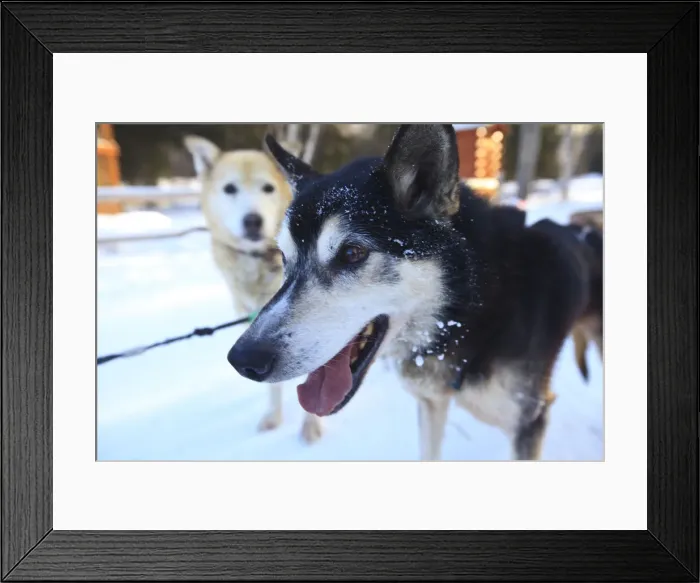 Framed Print : DDE-90038772