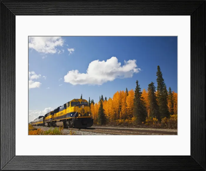 Framed Print : DDE-90038774 Framed Print : DDE-90038774