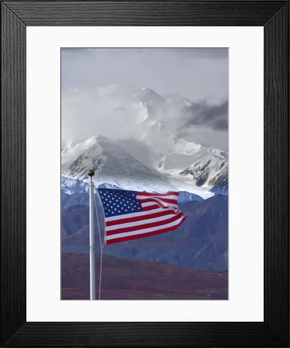 Framed Print : DDE-90038775