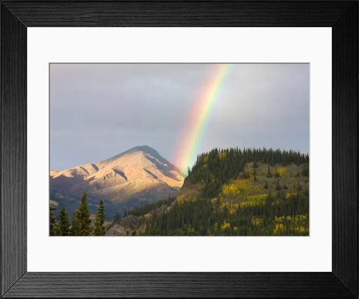 Framed Print : DDE-90038776 Framed Print : DDE-90038776