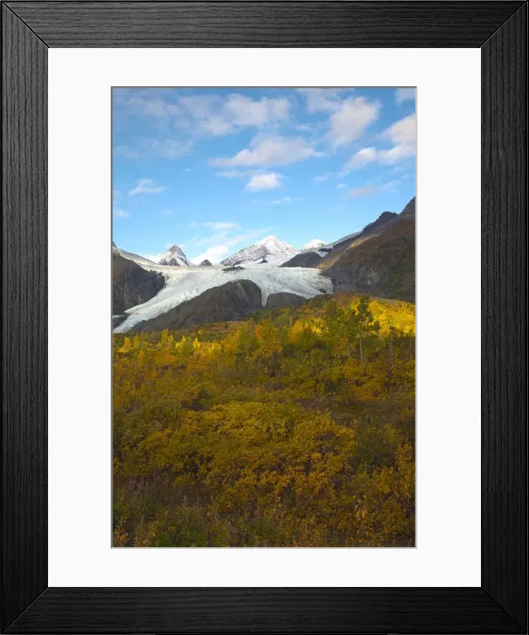 Framed Print : DDE-90038773 Framed Print : DDE-90038773