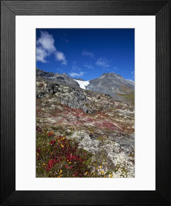 Framed Print : DDE-90038778 Framed Print : DDE-90038778