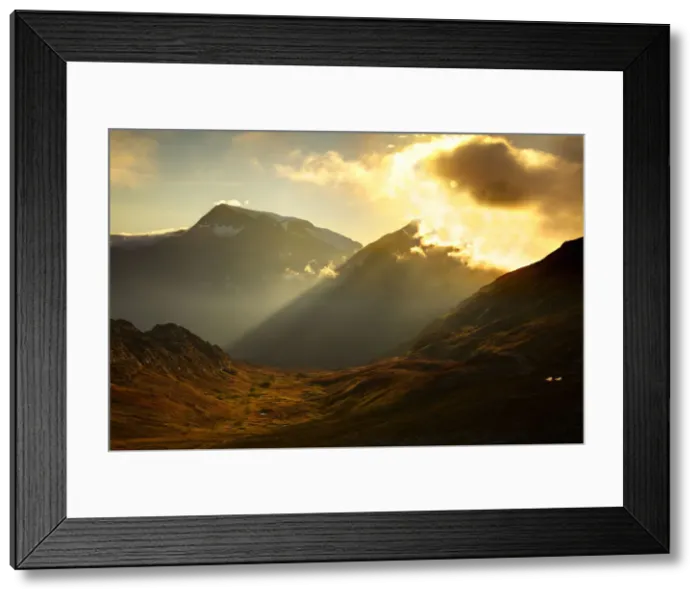 Framed Print : DDE-90038780