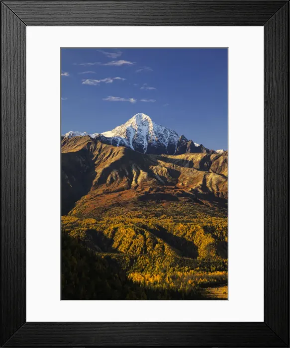 Framed Print : DDE-90038779