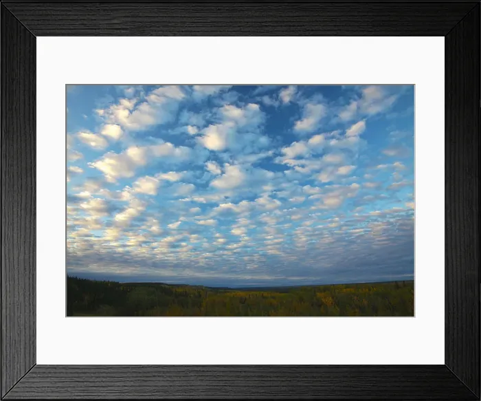 Framed Print : DDE-90038782 Framed Print : DDE-90038782