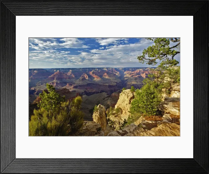 Framed Print : DDE-90038785 Framed Print : DDE-90038785