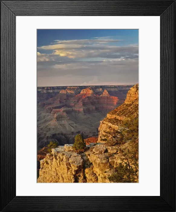 Framed Print : DDE-90038789
