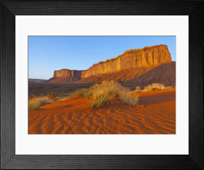 Framed Print : DDE-90038794