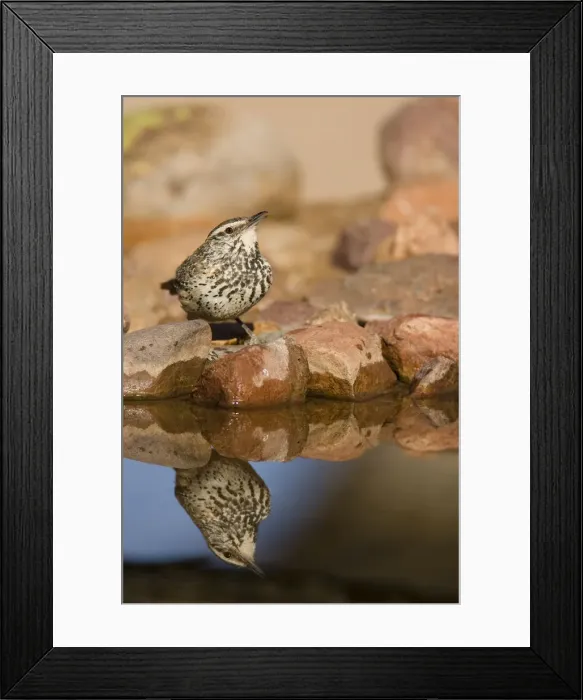Framed Print : DDE-90038799