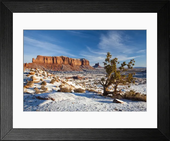 Framed Print : DDE-90038813