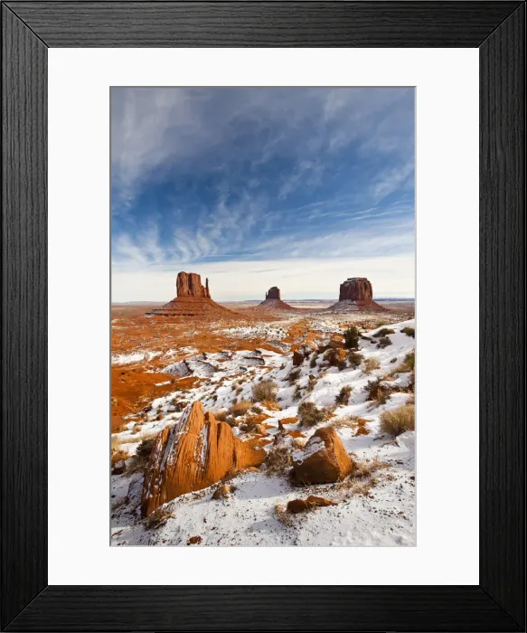 Framed Print : DDE-90038815 Framed Print : DDE-90038815