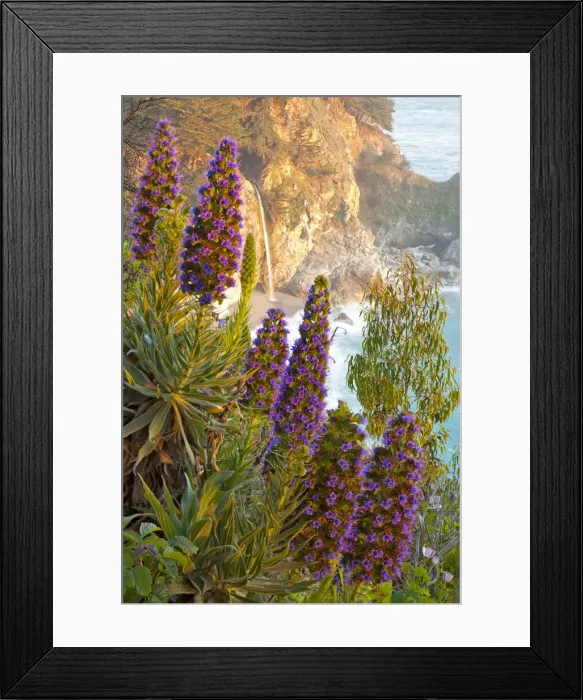 Framed Print : DDE-90038821 Framed Print : DDE-90038821
