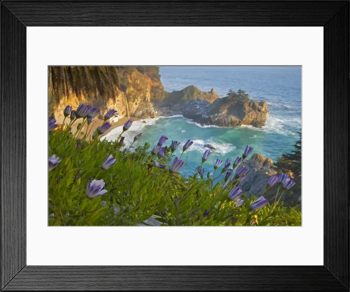 Framed Print : DDE-90038822 Framed Print : DDE-90038822