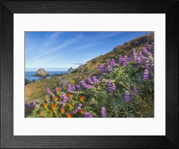 Framed Print : DDE-90038828 Framed Print : DDE-90038828