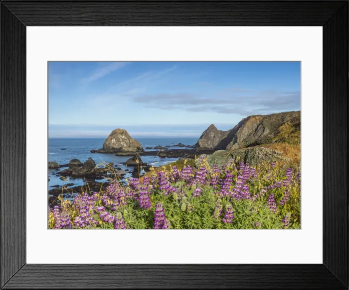 Framed Print : DDE-90038829 Framed Print : DDE-90038829