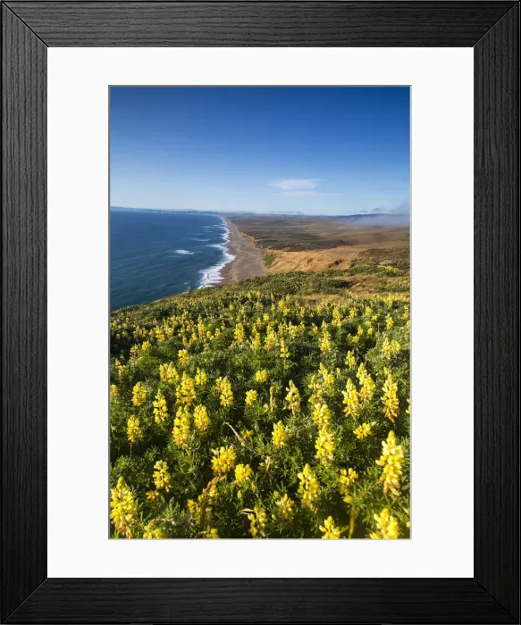 Framed Print : DDE-90038830