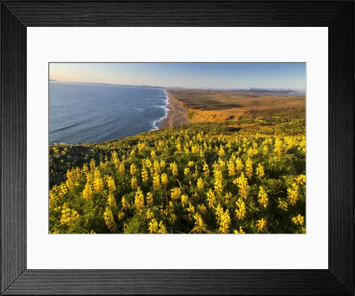 Framed Print : DDE-90038831