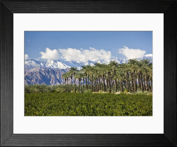 Framed Print : DDE-90038846 Framed Print : DDE-90038846