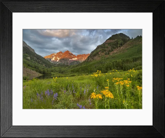 Framed Print : DDE-90038869 Framed Print : DDE-90038869