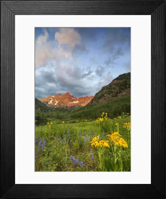Framed Print : DDE-90038870