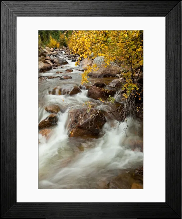 Framed Print : DDE-90038876 Framed Print : DDE-90038876