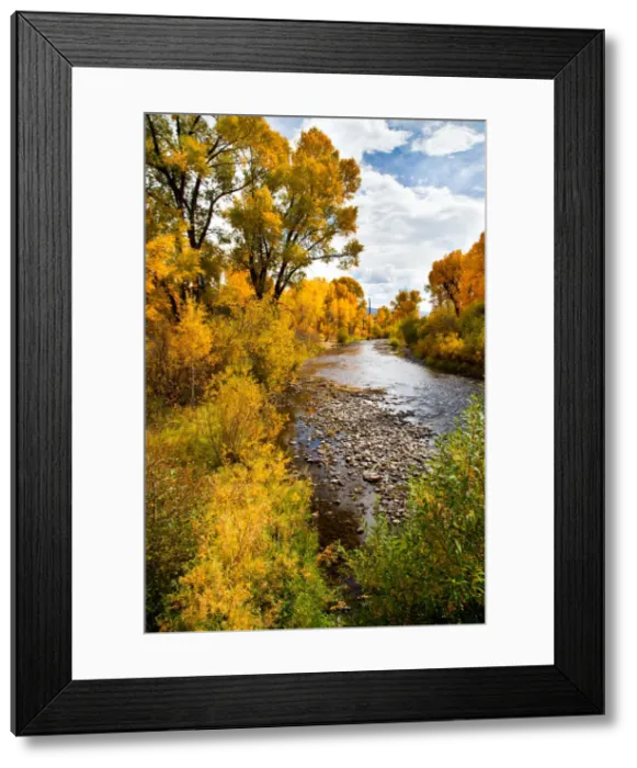 Framed Print : DDE-90038880 Framed Print : DDE-90038880