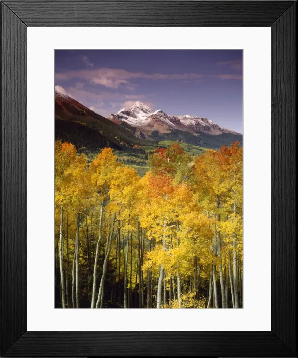 Framed Print : DDE-90038882 Framed Print : DDE-90038882