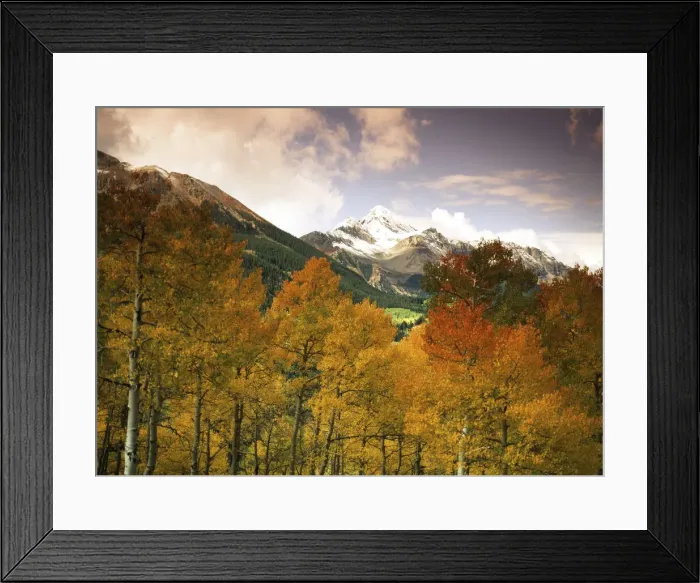 Framed Print : DDE-90038883