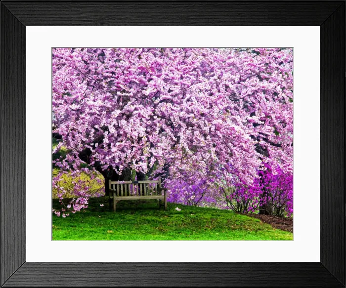 Framed Print : DDE-90038887 Framed Print : DDE-90038887