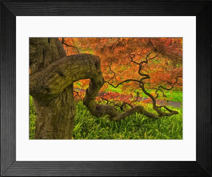 Framed Print : DDE-90038890 Framed Print : DDE-90038890