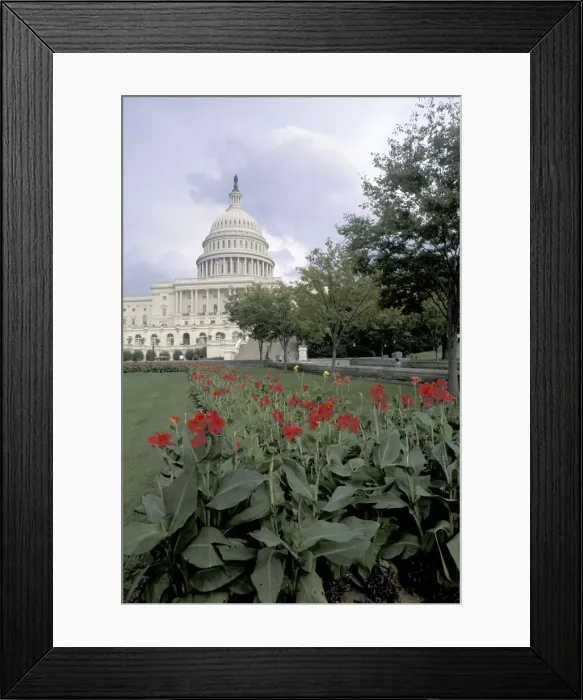 Framed Print : DDE-90038894 Framed Print : DDE-90038894