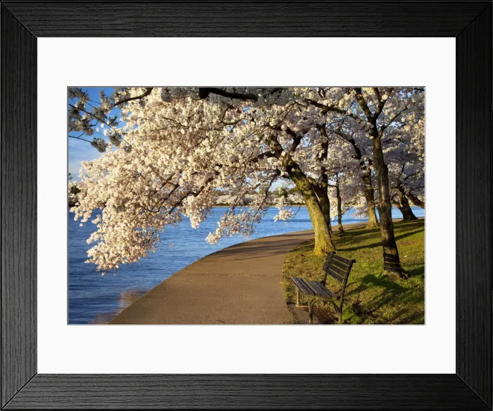 Framed Print : DDE-90038901 Framed Print : DDE-90038901