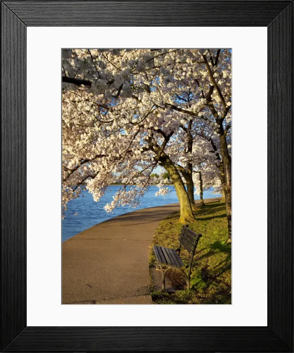 Framed Print : DDE-90038902 Framed Print : DDE-90038902