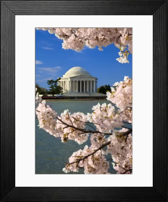 Framed Print : DDE-90038903 Framed Print : DDE-90038903
