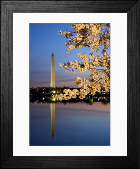 Framed Print : DDE-90038908 Framed Print : DDE-90038908