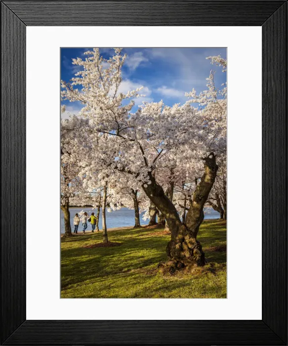 Framed Print : DDE-90038910 Framed Print : DDE-90038910