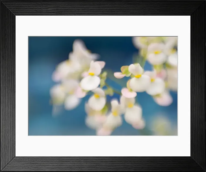 Framed Print : DDE-90038920 Framed Print : DDE-90038920