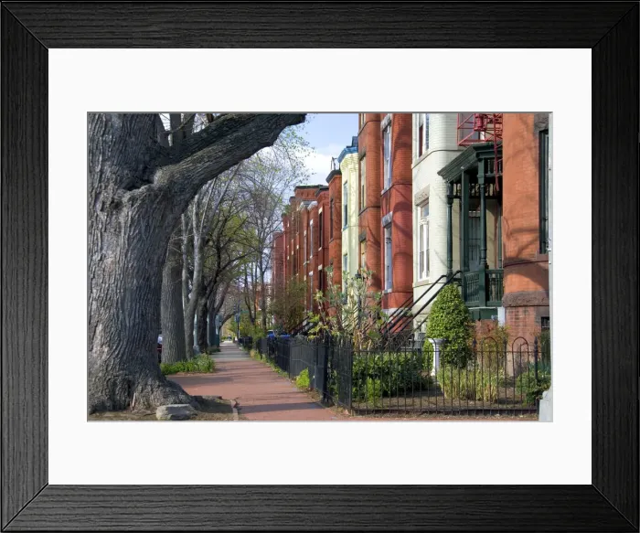 Framed Print : DDE-90038926 Framed Print : DDE-90038926