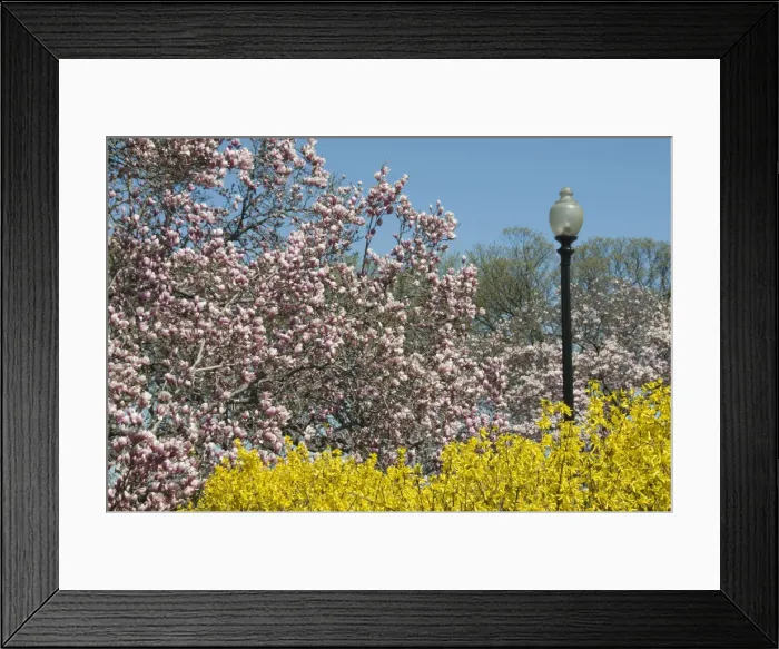 Framed Print : DDE-90038930 Framed Print : DDE-90038930