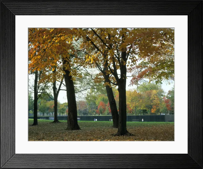 Framed Print : DDE-90038932 Framed Print : DDE-90038932