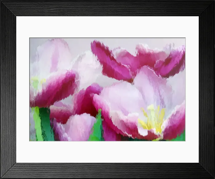 Framed Print : DDE-90038937 Framed Print : DDE-90038937