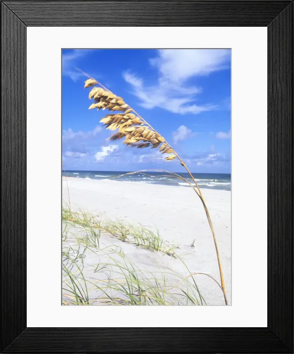 Framed Print : DDE-90038940