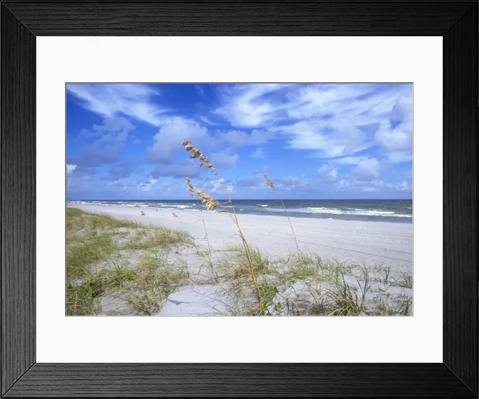 Framed Print : DDE-90038941